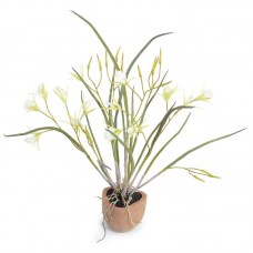 Wildon Home ® Faux Exotic Brassavola Orchid CST26460